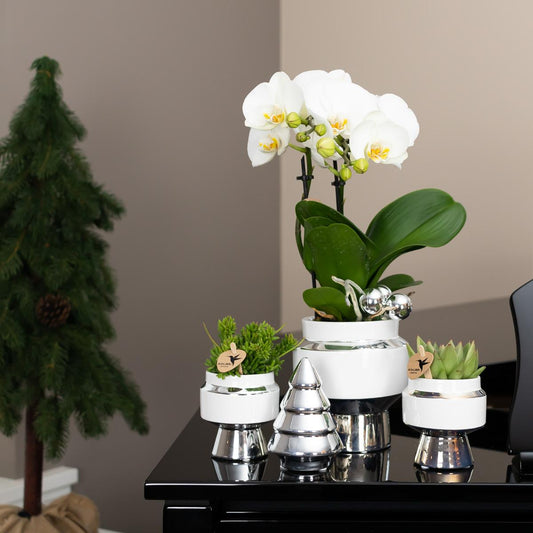 Kolibri Home | Vaso da fiori Le Chic - Vaso decorativo in ceramica bianca con dettagli argentati - Ø9cm