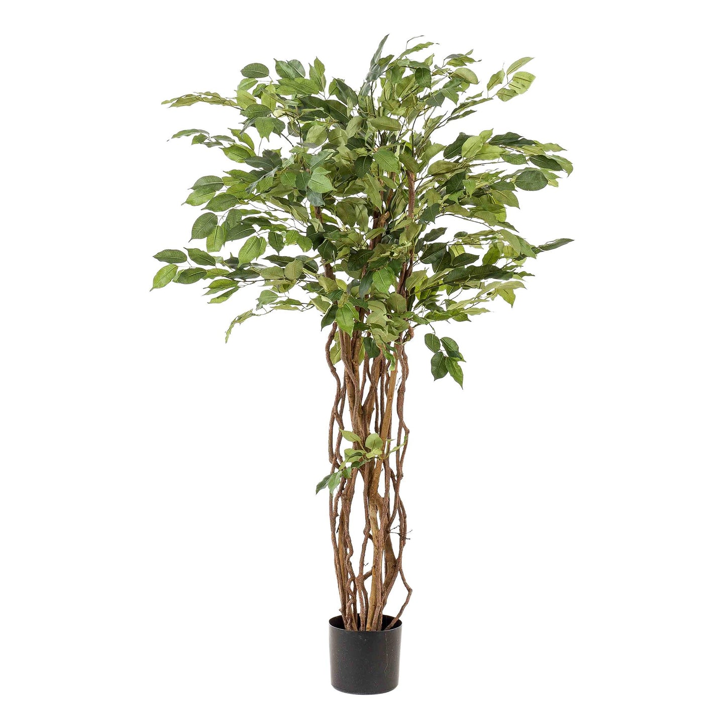 pianta artificiale - Ficus liana - Pianta a foglia di violino - 140 cm