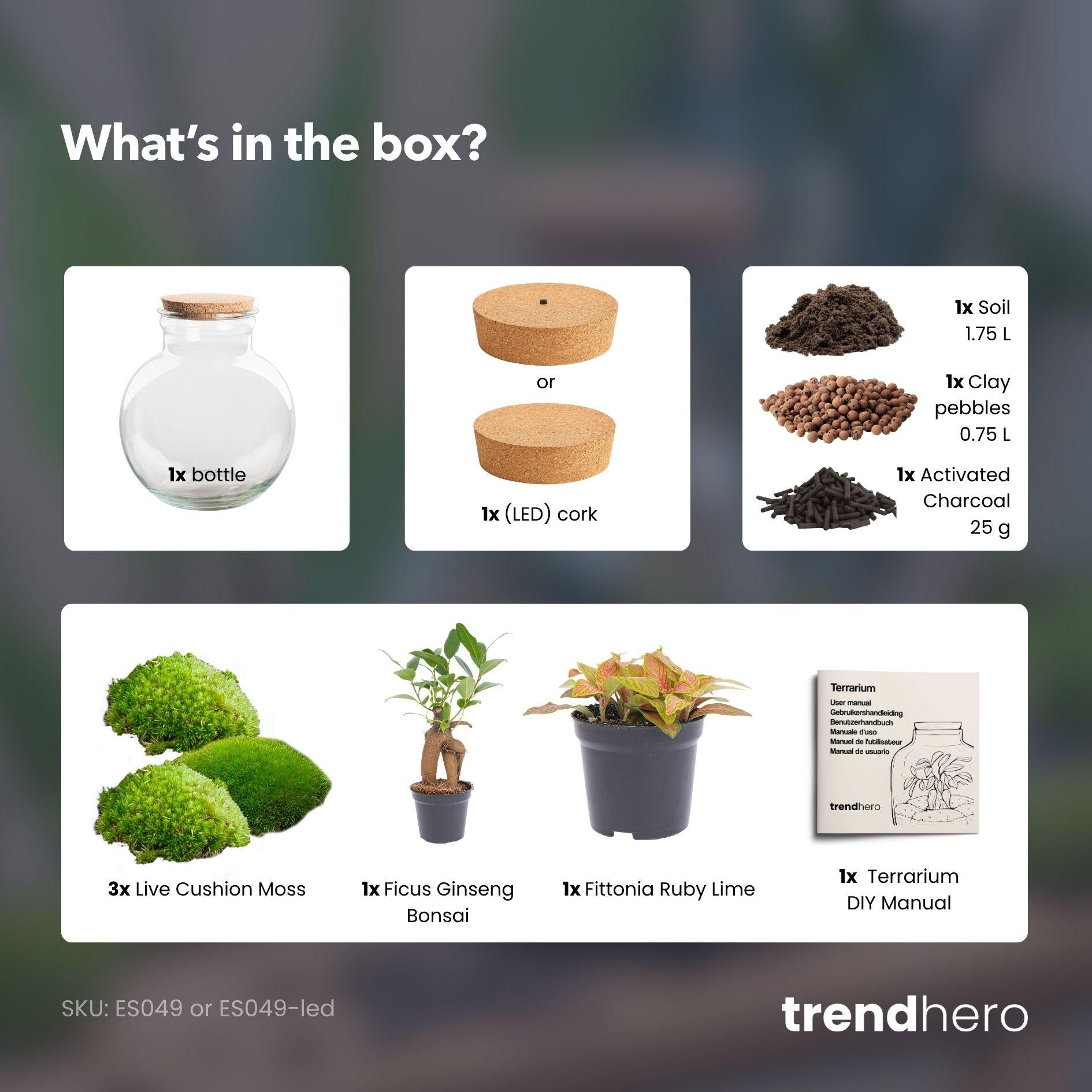 DIY Planten terrarium met licht