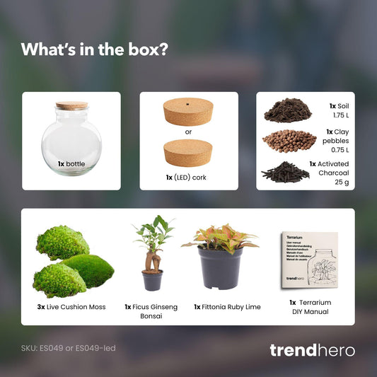 DIY Planten terrarium met licht