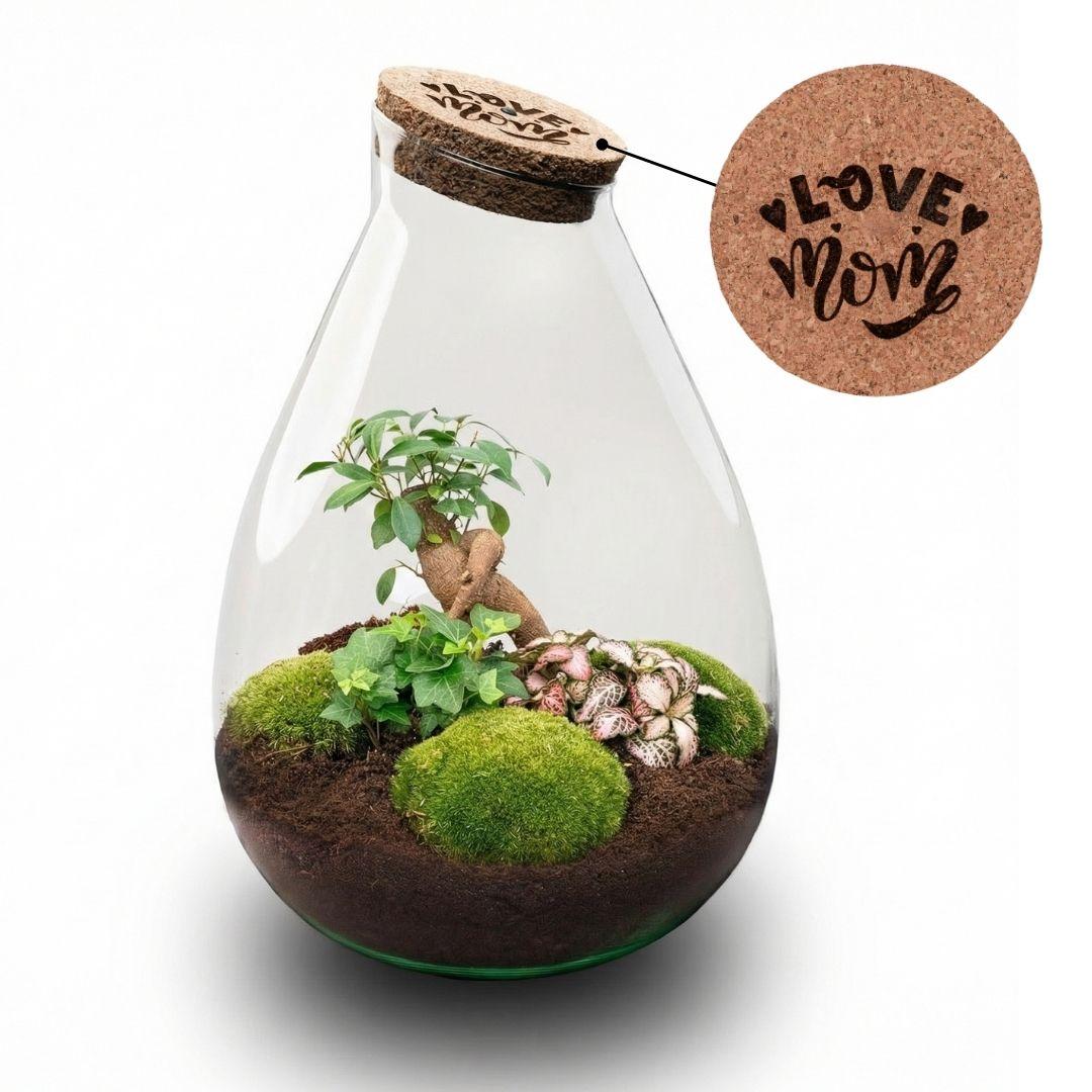 'LOVE MOM' terrarium Drop XL + gegraveerde kurk - Fles terrarium DIY kit – Ø 24 cm ↑ 37 cm - Moederdag