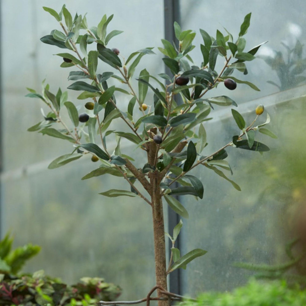 Künstlicher Olivenbaum im Topf – 65 cm