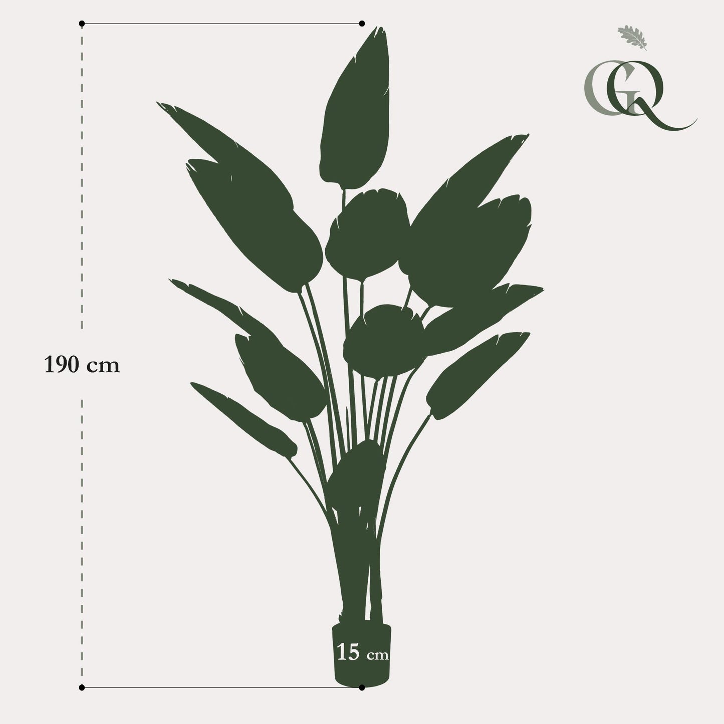 Artificial plant - Strelitzia Nicolai - Bird of Paradise flower - 190 cm