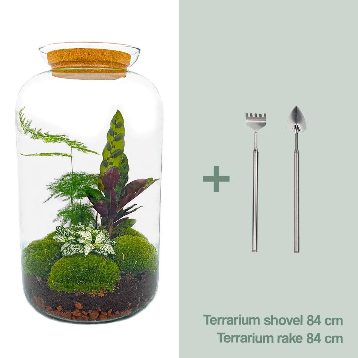 DIY Plant terrarium with light - Sven XL Botanical - Ø 23 cm ↑ 43 cm - Rake + Shovel