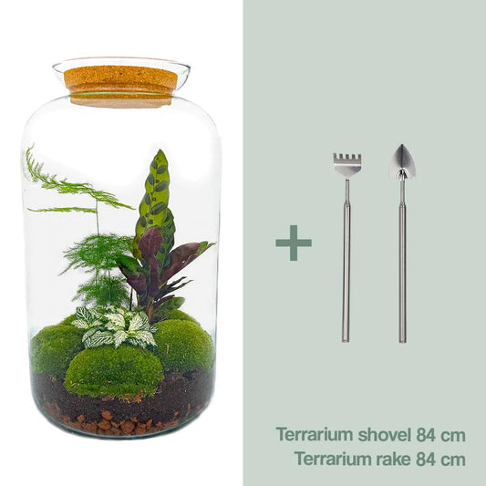 DIY Plant terrarium with light - Sven XL Botanical - Ø 23 cm ↑ 43 cm - Rake + Shovel