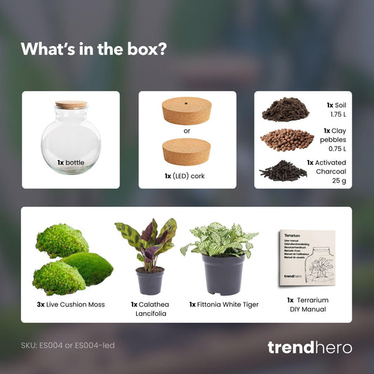 DIY Plant terrarium (with light) - Teddy - Ø 25 cm ↑ 26.5 cm - No tools