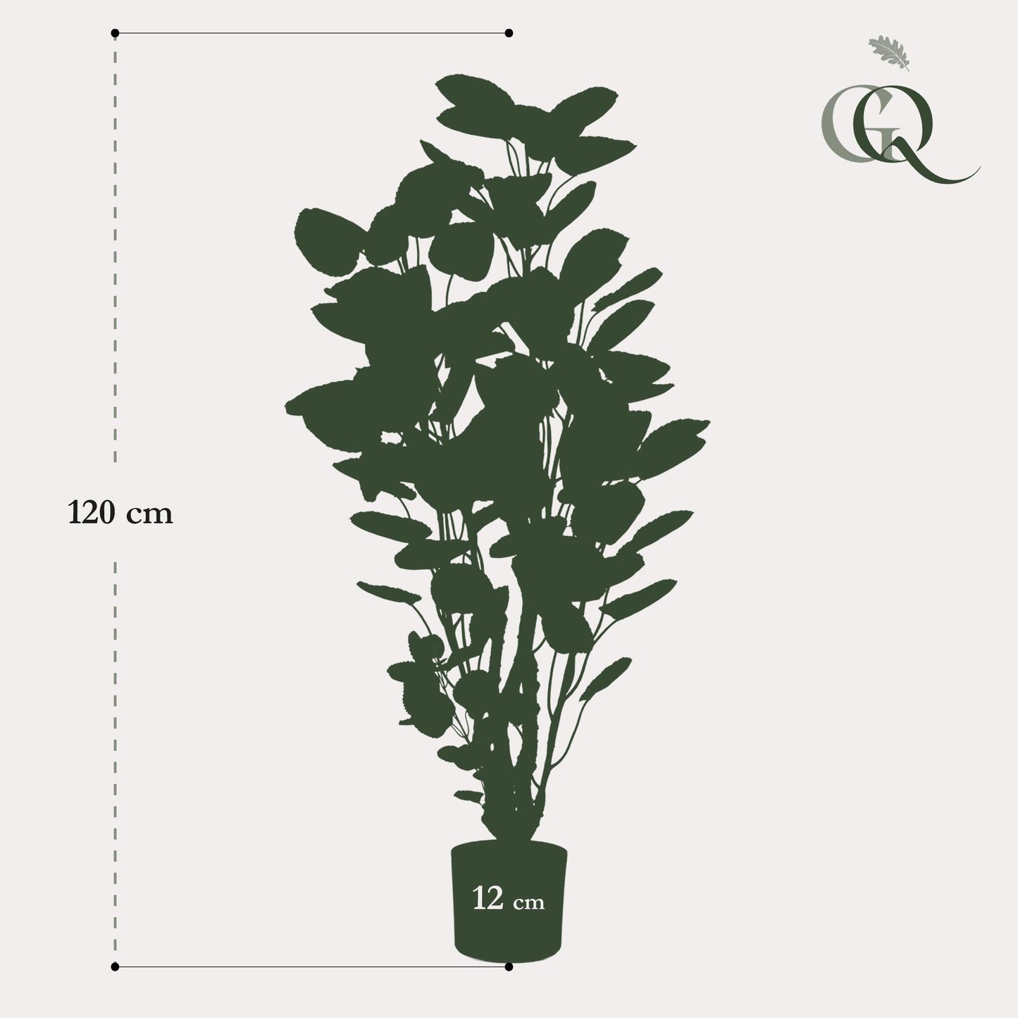 Pianta artificiale - Polyscias - Aralia - 105 cm