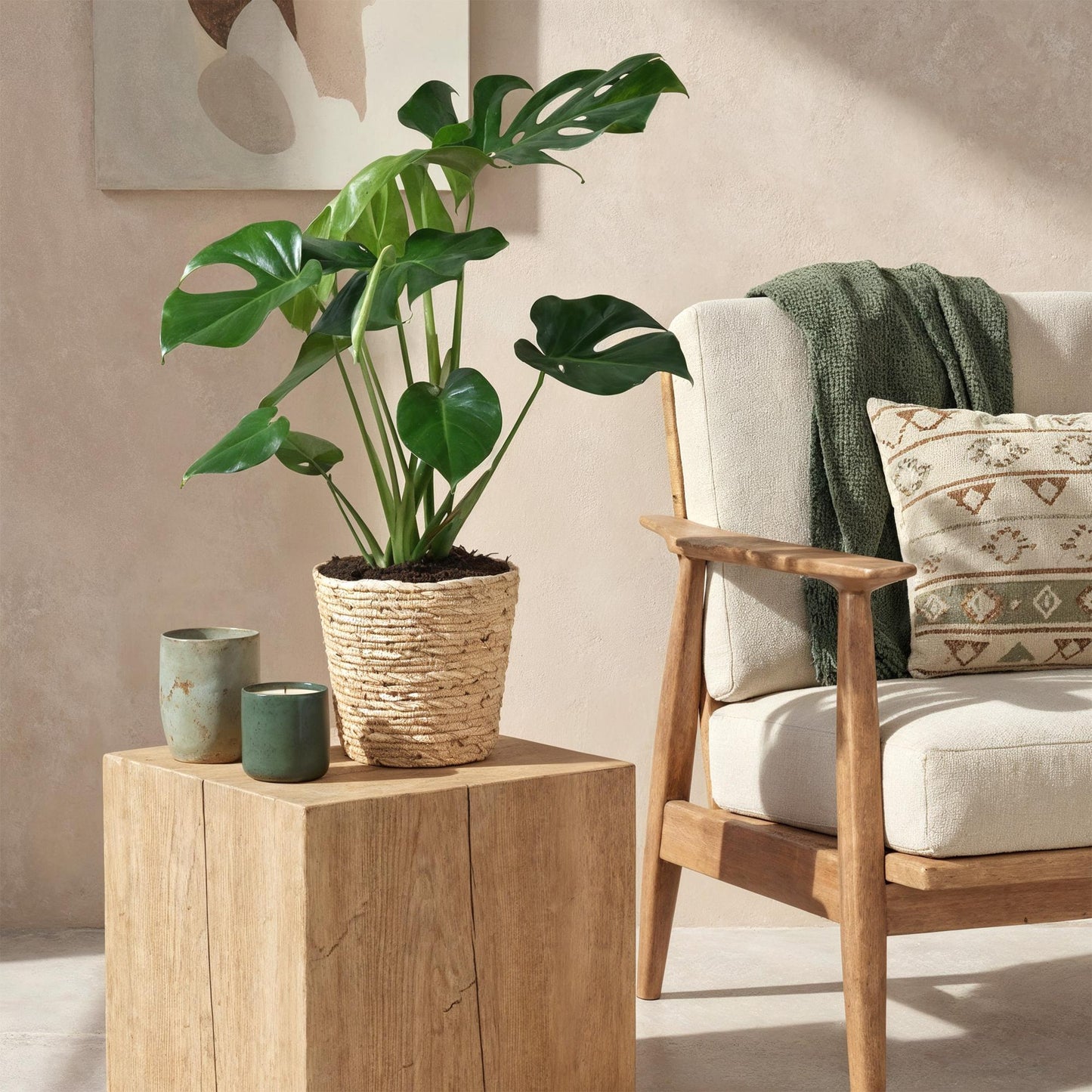 Green BoutiQ - Il verde è... Piante da appartamento - Monstera Deliciosa - Pianta del formaggio svizzero - Bassa manutenzione - Verde - 1 pianta - Vaso 21 cm - Altezza 70-80 cm