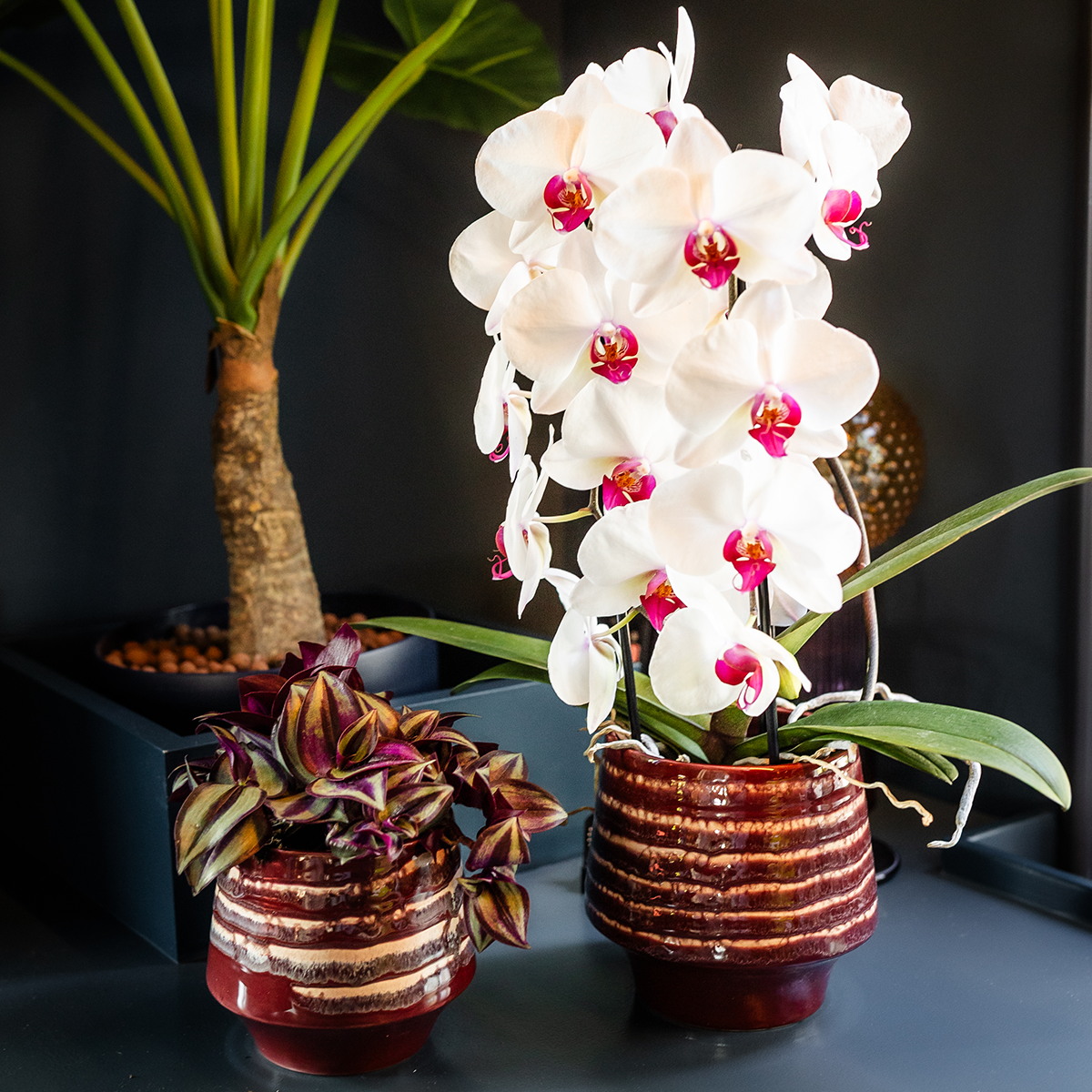 Hummingbird Home | Moonstone Burgundy decorative pot - Ø9cm