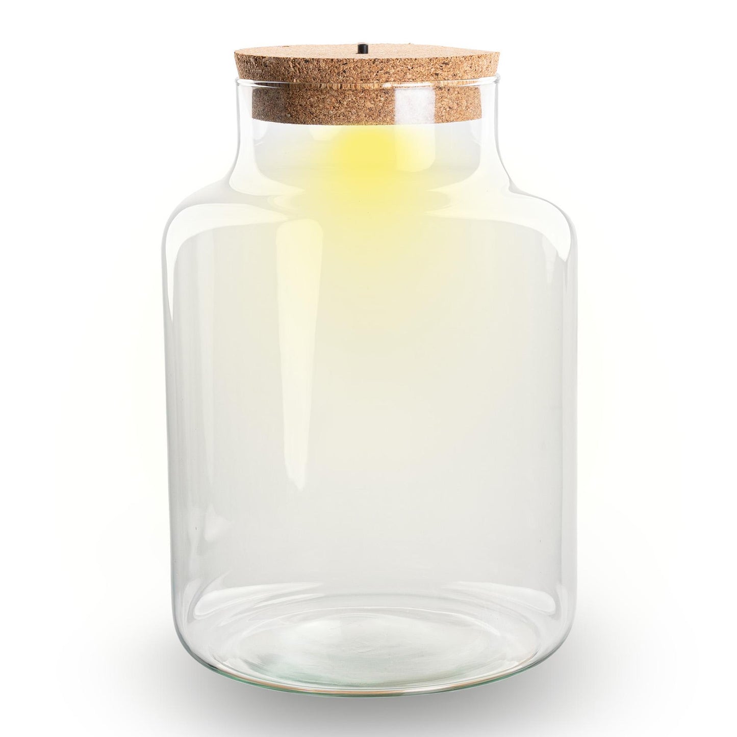 Terrarium fles met kurk