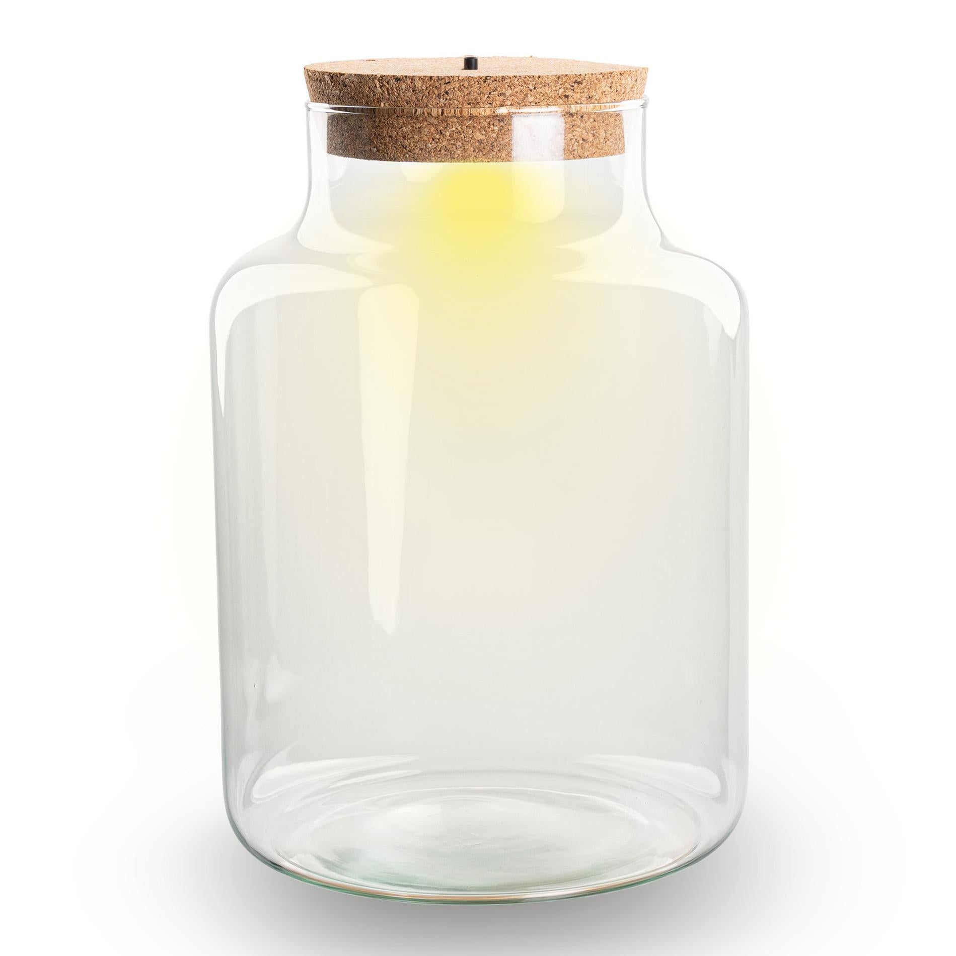 Terrarium fles met kurk