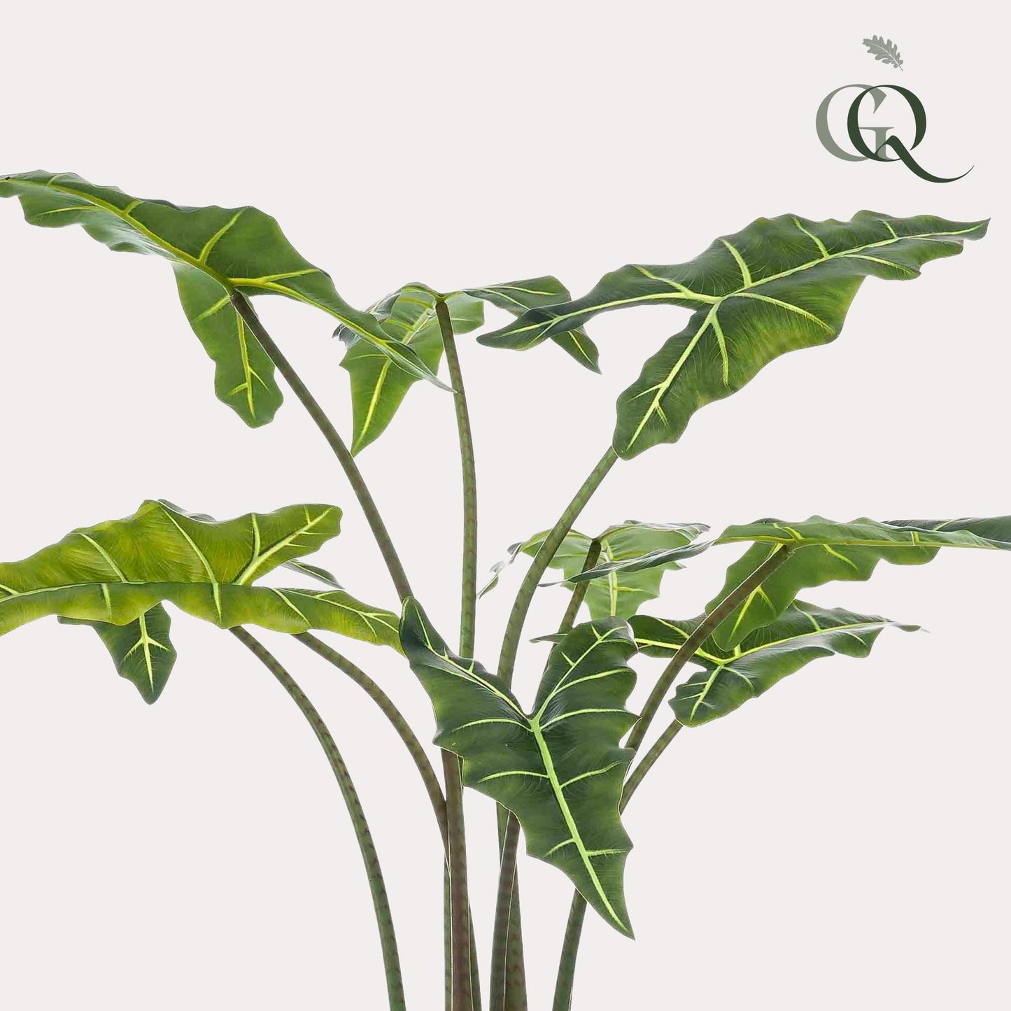 Artificial plant - Alocasia Frydek - Elephant Ear - 120 cm