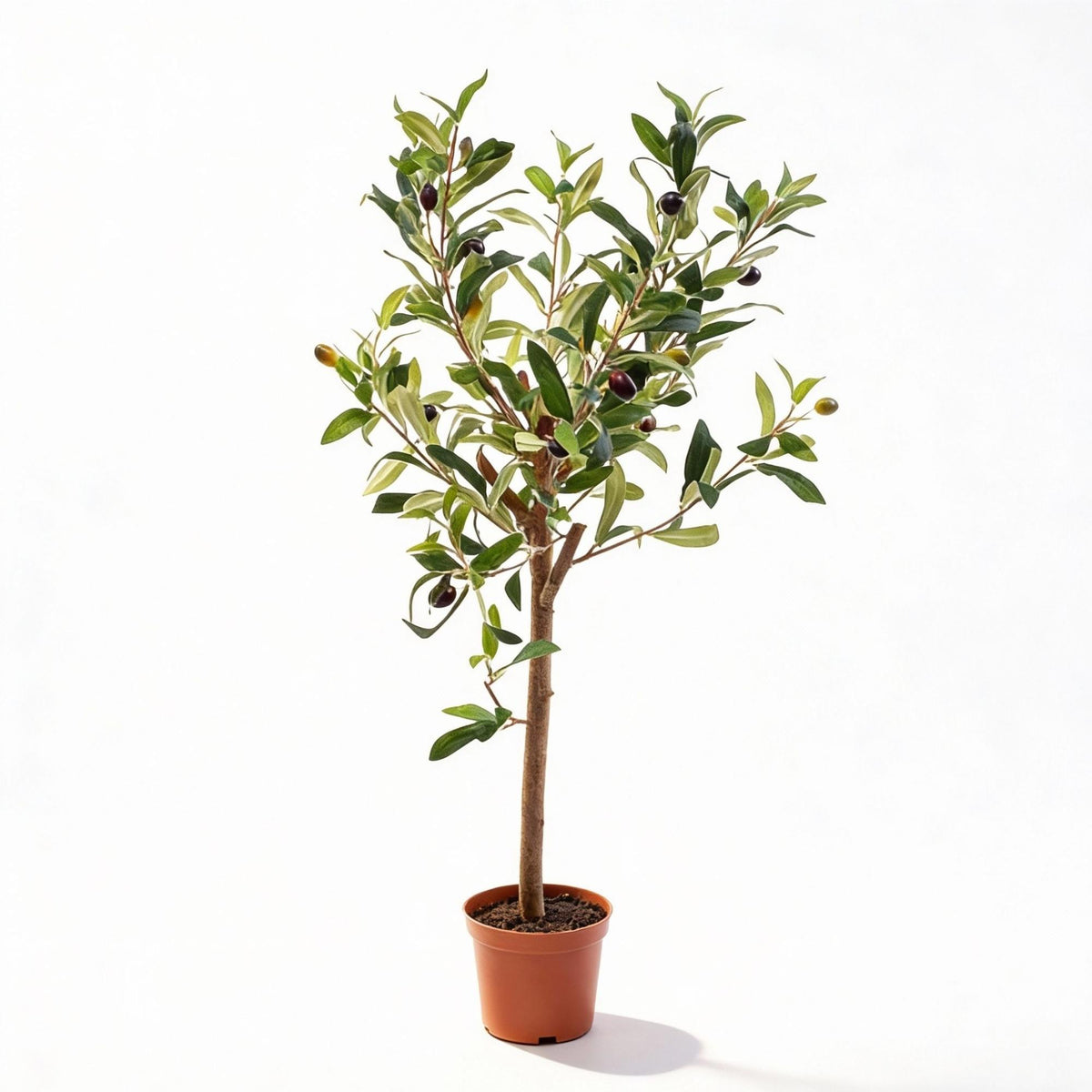 Künstlicher Olivenbaum im Topf – 65 cm