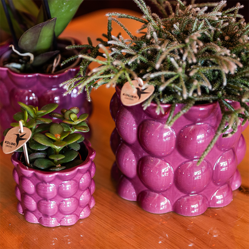 Hummingbird Home | Cotton Shine decorative pot - Purple - Ø12cm