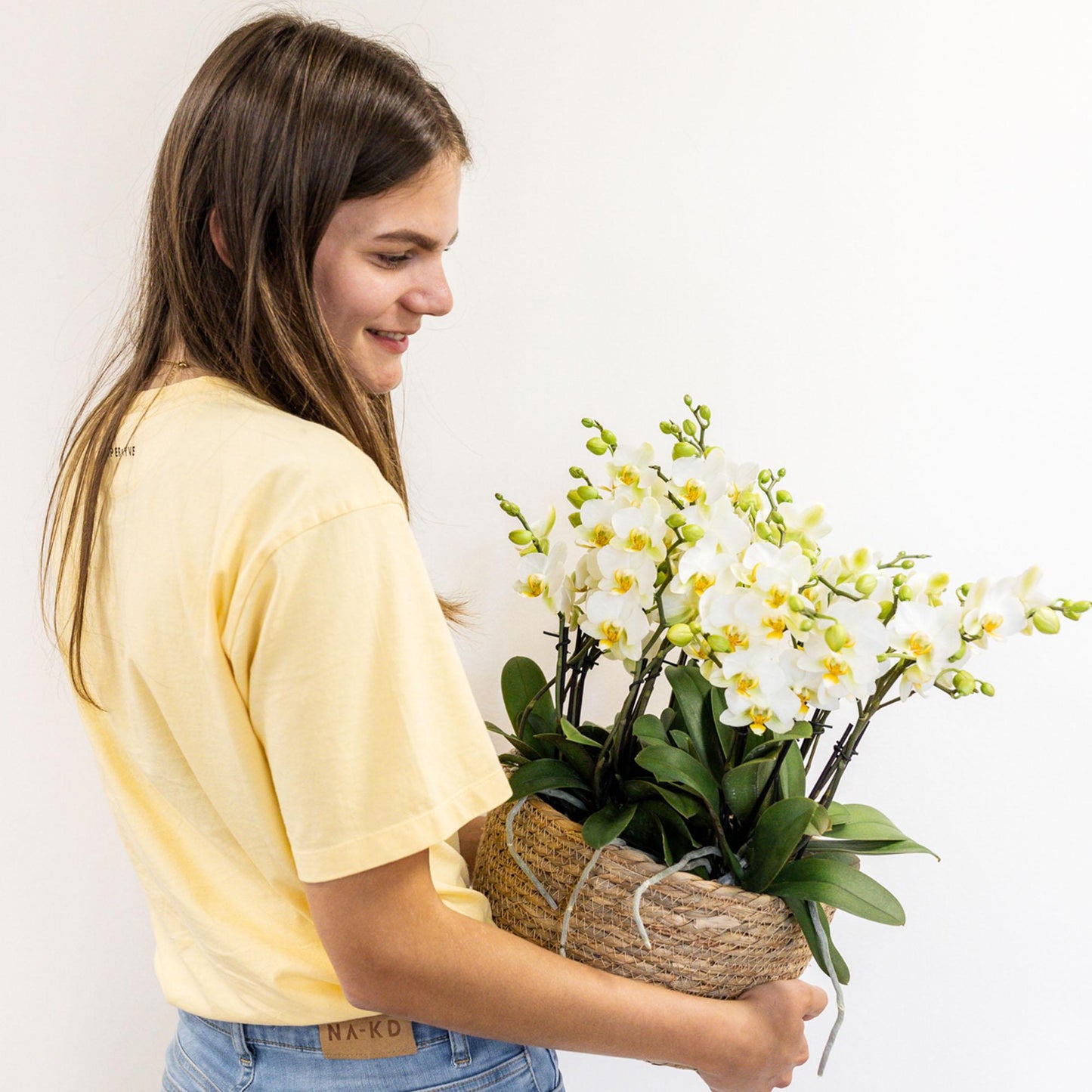 Kolibri Orchids | witte plantenset in Cotton Basket incl. waterreservoir | drie witte orchideeën Lausanne 9cm en drie groene planten | Jungle Bouquet wit met zelfvoorzienend waterreservoir