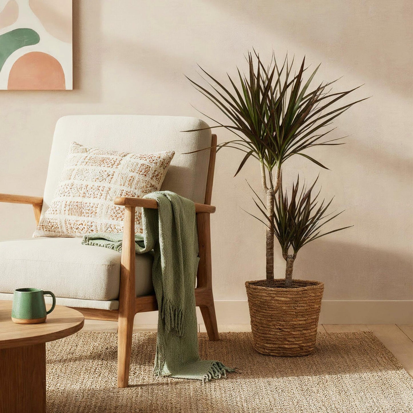 Green BoutiQ - Green is... Houseplants - Dracaena Magenta - Dragon Blood Tree - Low maintenance - Green - 1 Plant - Pot 21cm - Height 90-100cm