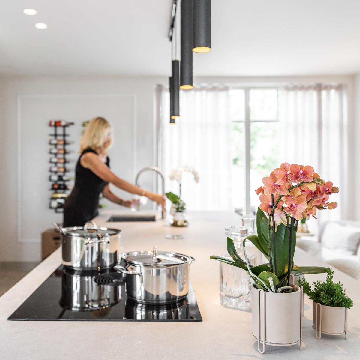 Orchidee colibrì | OFFERTA COMBI di 2 orchidee Phalaenopsis arancioni - Bolzano - vaso Ø9cm pianta da appartamento fiorita - fresche dal coltivatore