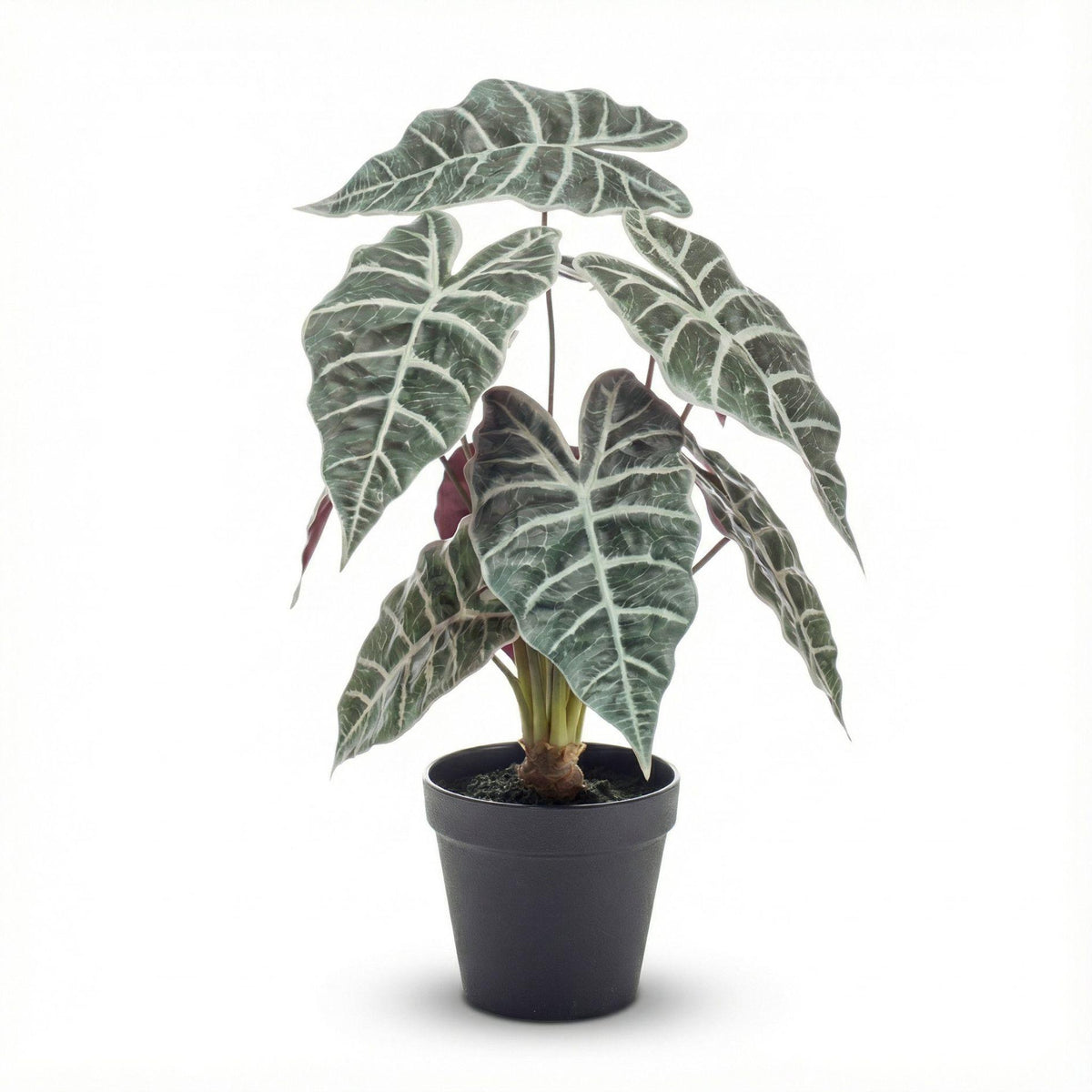 Künstliche Alocasia im Innentopf – 40 cm