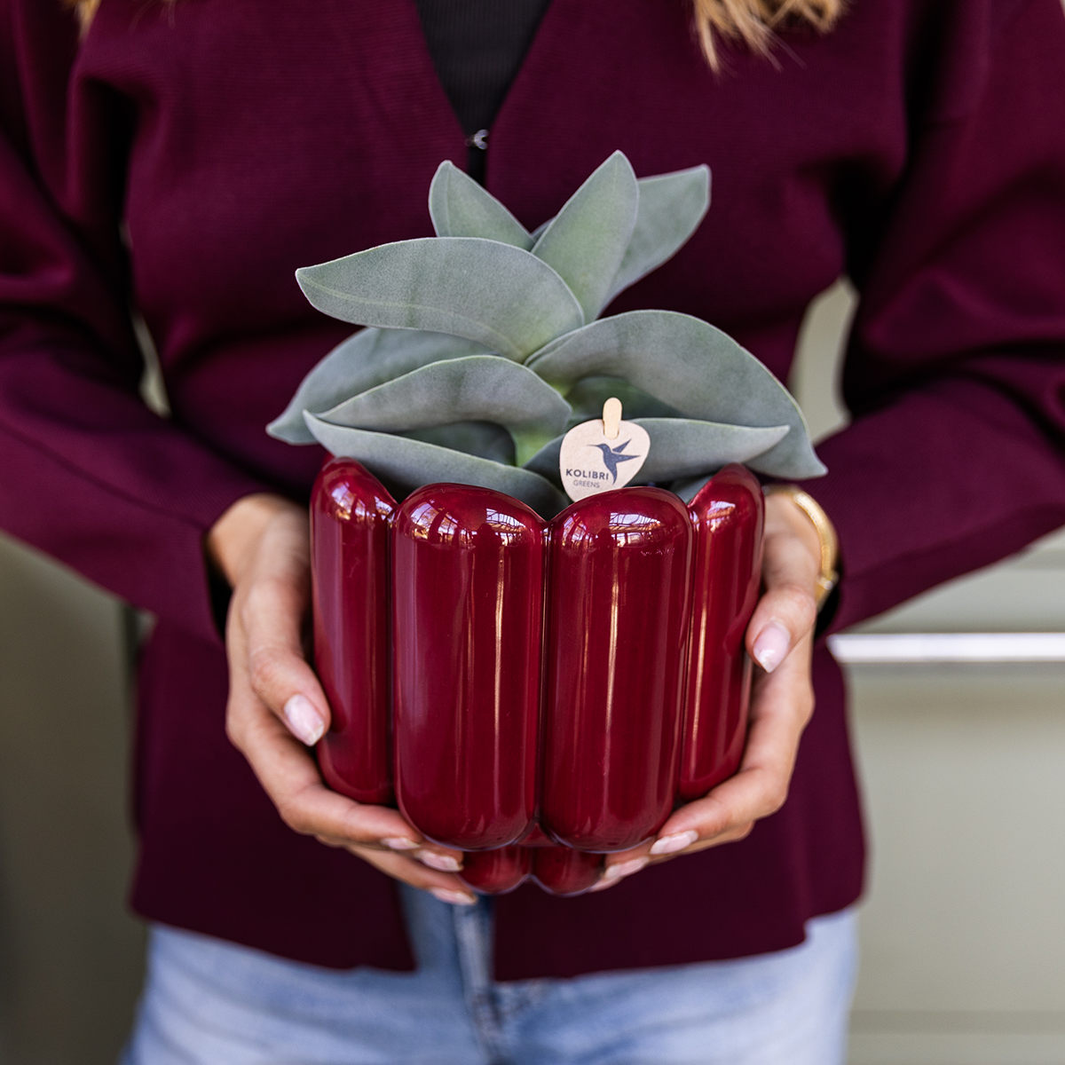Hummingbird Home | Retro Shine decorative pot - Red - Ø12cm
