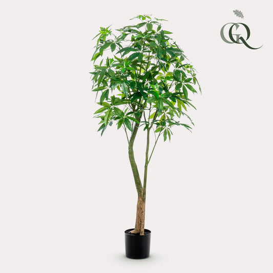 Pianta artificiale - Pachira Aquatica - Albero dei soldi - 180 cm
