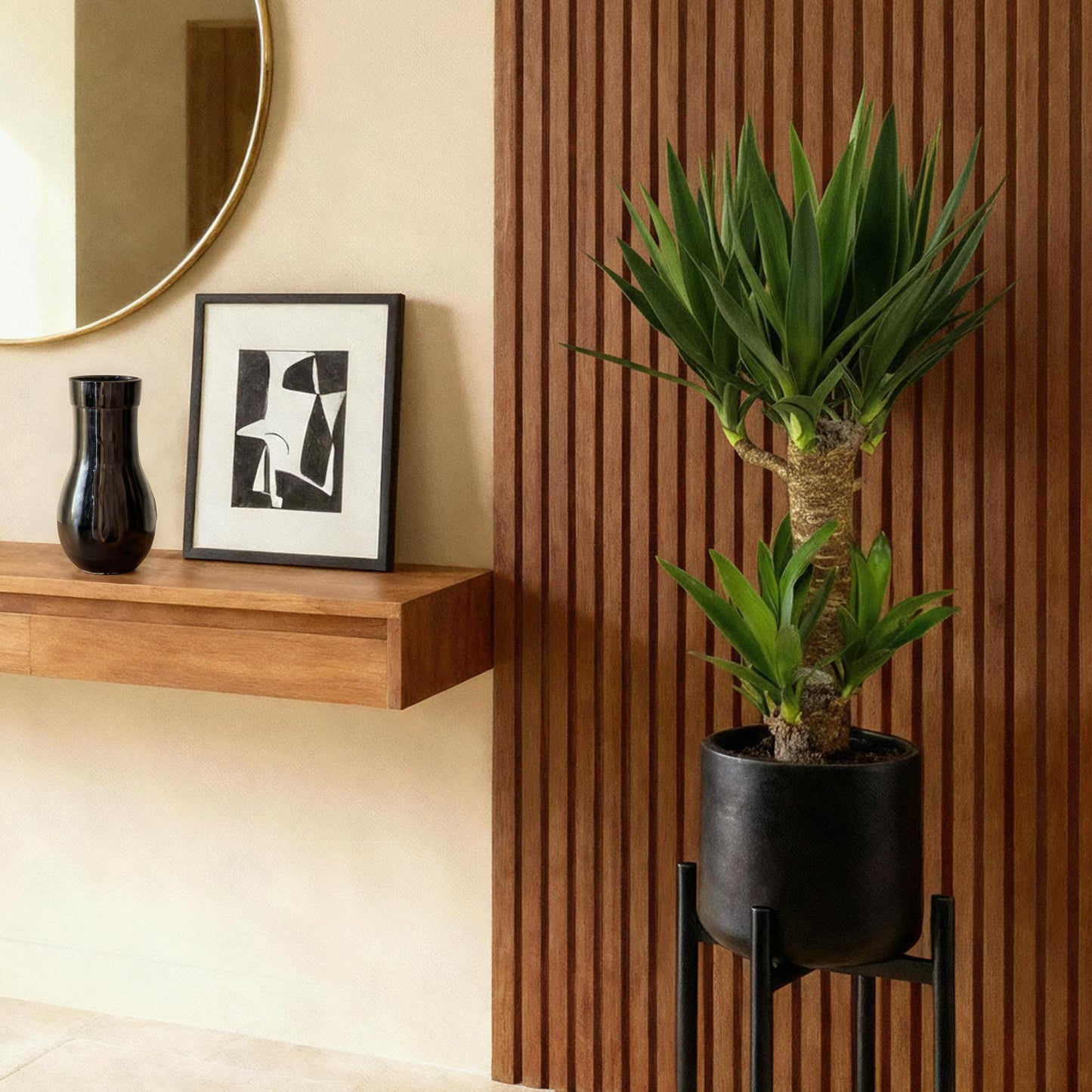 Green boutiQ - Houseplant - Yucca elephantipes - Yucca - Low maintenance - Green - 2 - Pot 17cm - Height 75cm