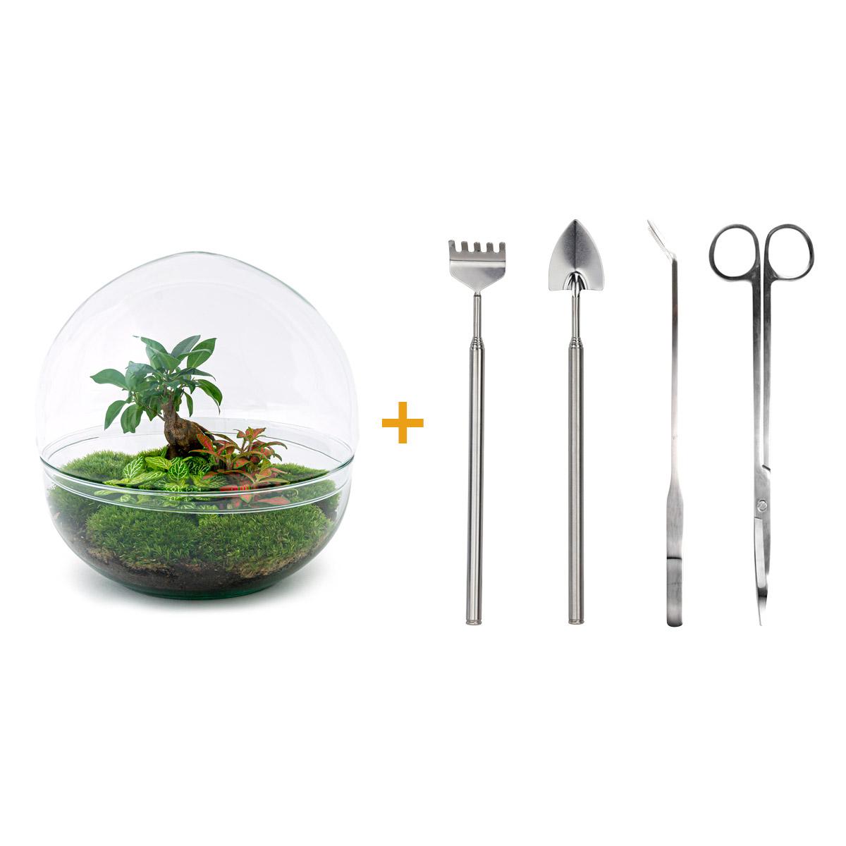 DIY Plant terrarium two-piece glass dome - Dome XL Bonsai - Ø 28 cm ↑ 28 cm - Rake + Shovel + Tweezer + Scissors