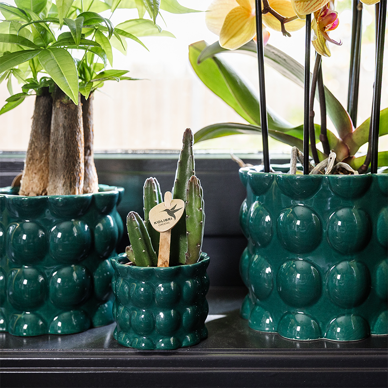 Kolibri Home | Cotton Shine sierpot - Green - Ø9cm