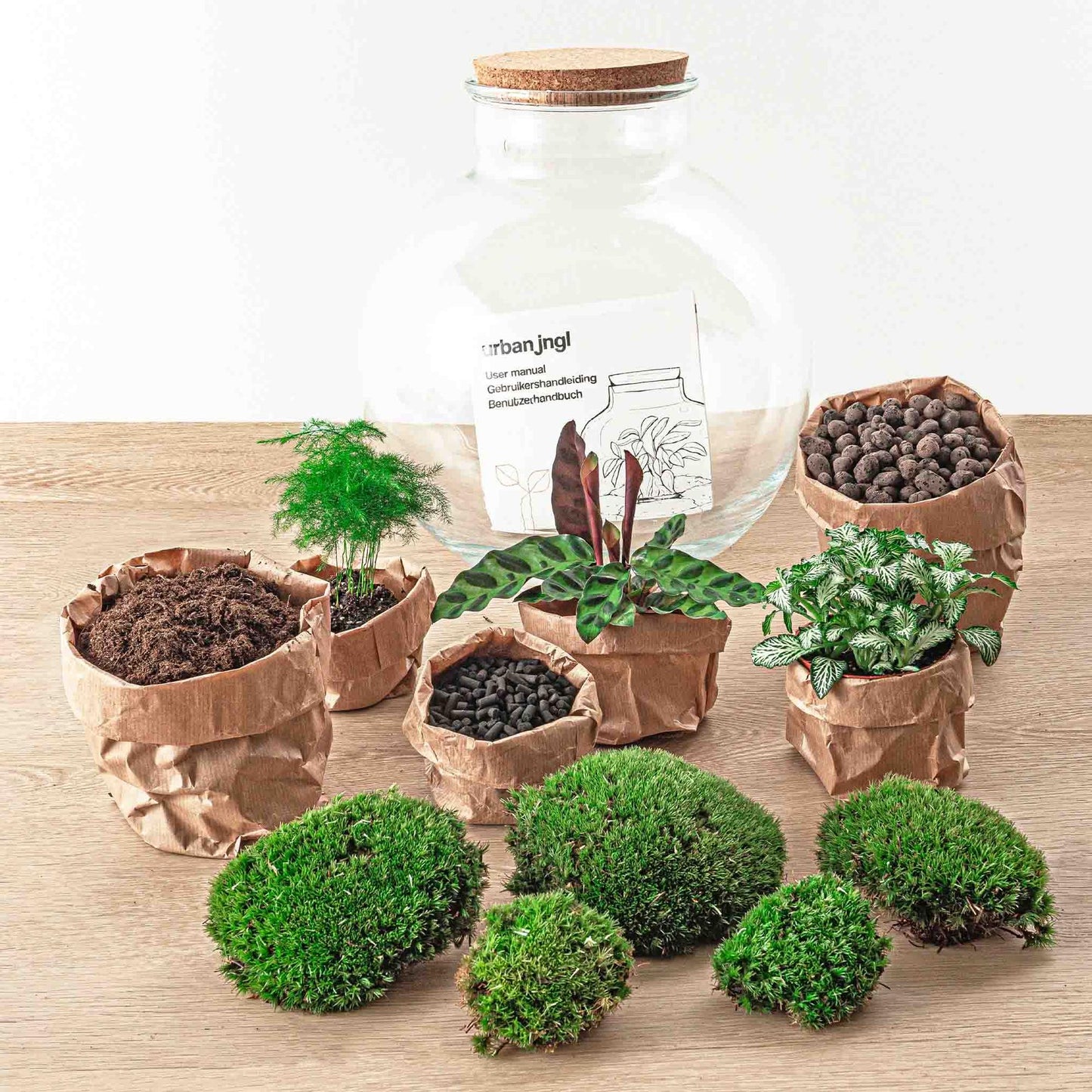 DIY Plant terrarium (with lighting) - Bolder Bob - Ø 31 cm ↑ 30 cm - Rake + Shovel + Tweezer + Scissors