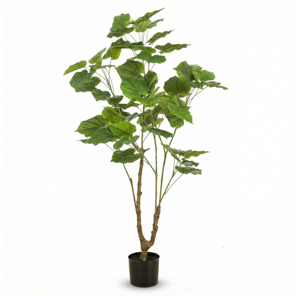 Künstlicher Ficus Umbrella – 125 cm