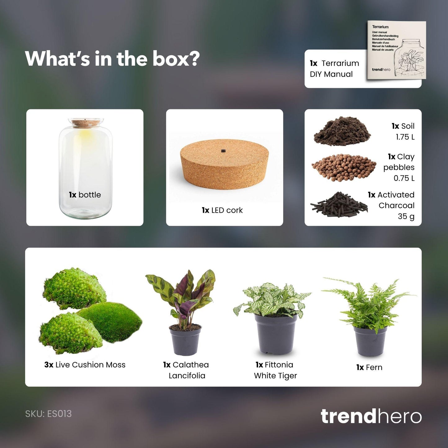 DIY Plant terrarium with light - Sven XL Botanical - Ø 23 cm ↑ 43 cm - No tools