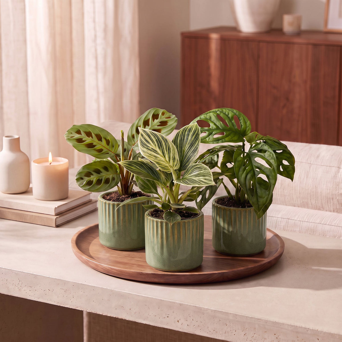 3x Baby Plants Surprise Box - Verrassingsbox kleine planten - Diversen - Tropisch - incl. Linnea Olive - Ø6cm - ↕5-15cm