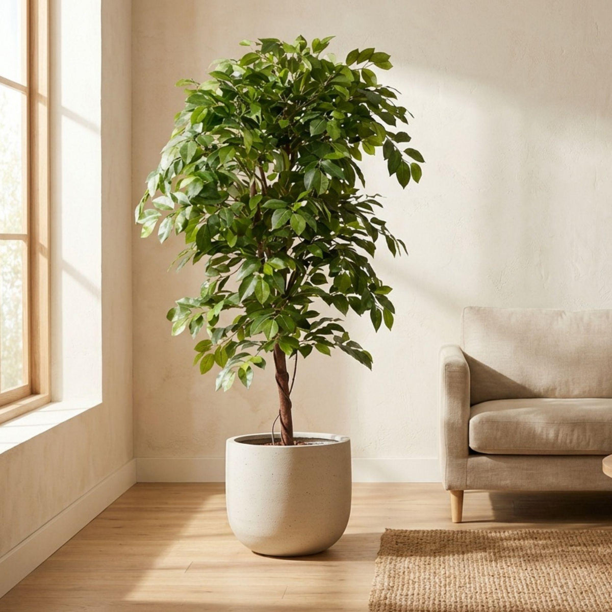 Ficus Deluxe Vine artificiel – 140 cm