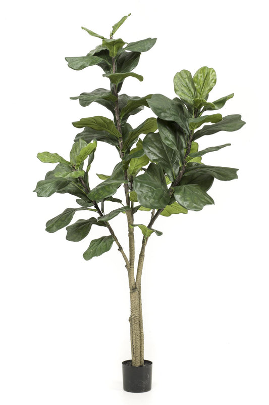 Pianta artificiale - Ficus Lyrata - Pianta di tabacco - 180 cm