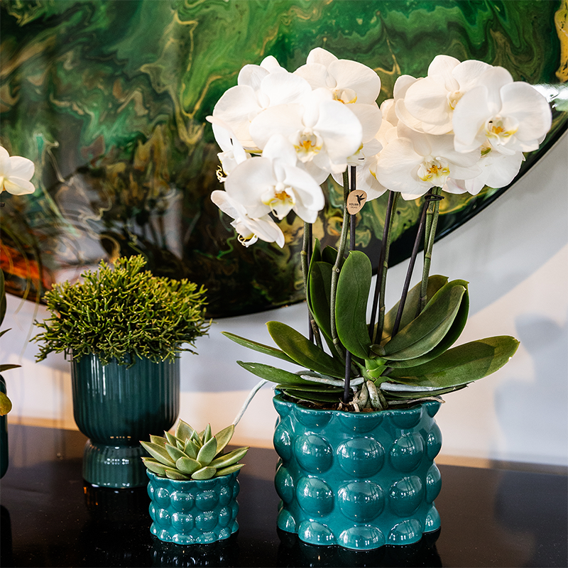Hummingbird Home | Vaso decorativo Cotton Shine - Verde - Ø12cm