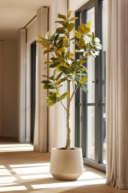 Magnolia Denudata - 150 cm - Albero artificiale - Pianta artificiale
