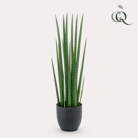 Artificial plant - Sanseveria Cylindrica - Mother-in-law's tongue - 70 cm