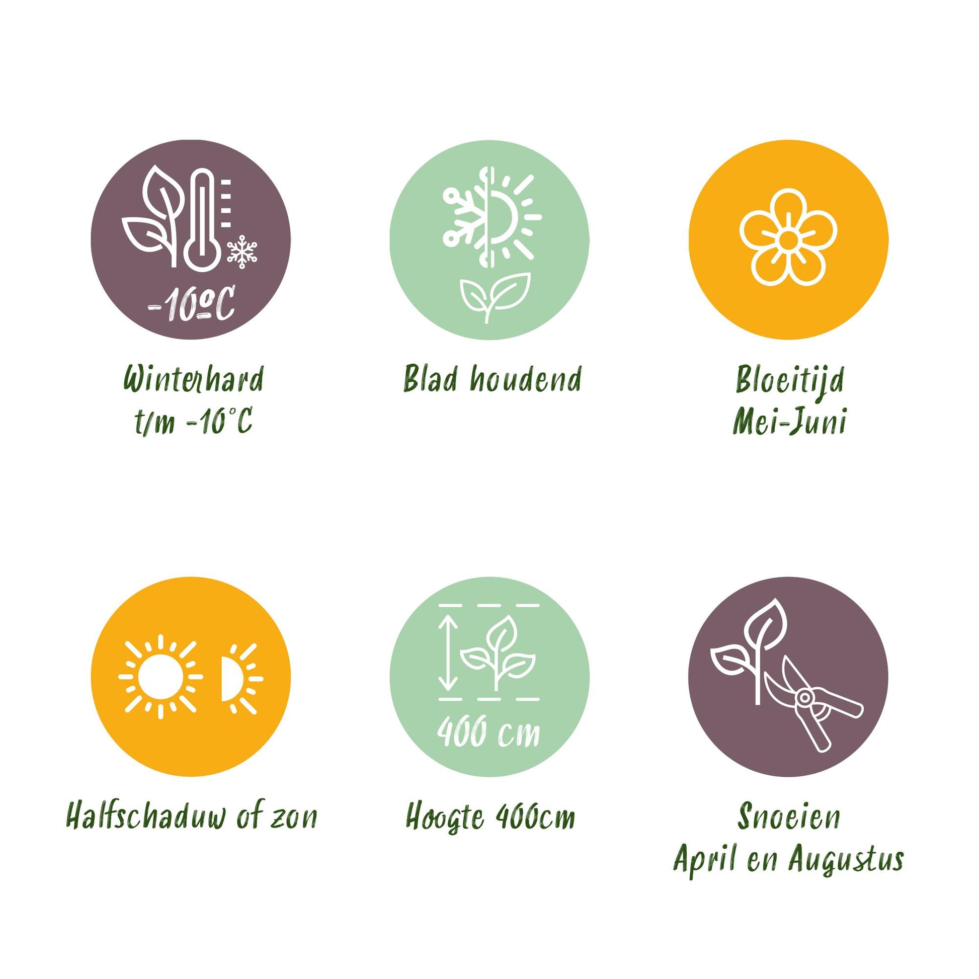 Terrarium fles met LED-verlichting