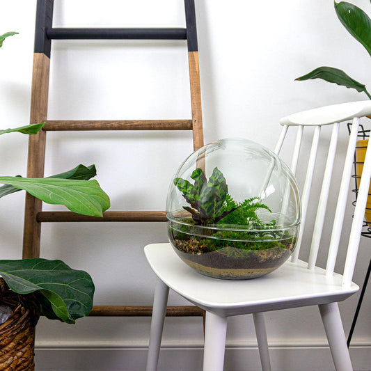 DIY Plant terrarium two-piece glass dome - Dome XL -Ø 28 cm ↑ 28 cm - Rake + Shovel + Tweezer + Scissors