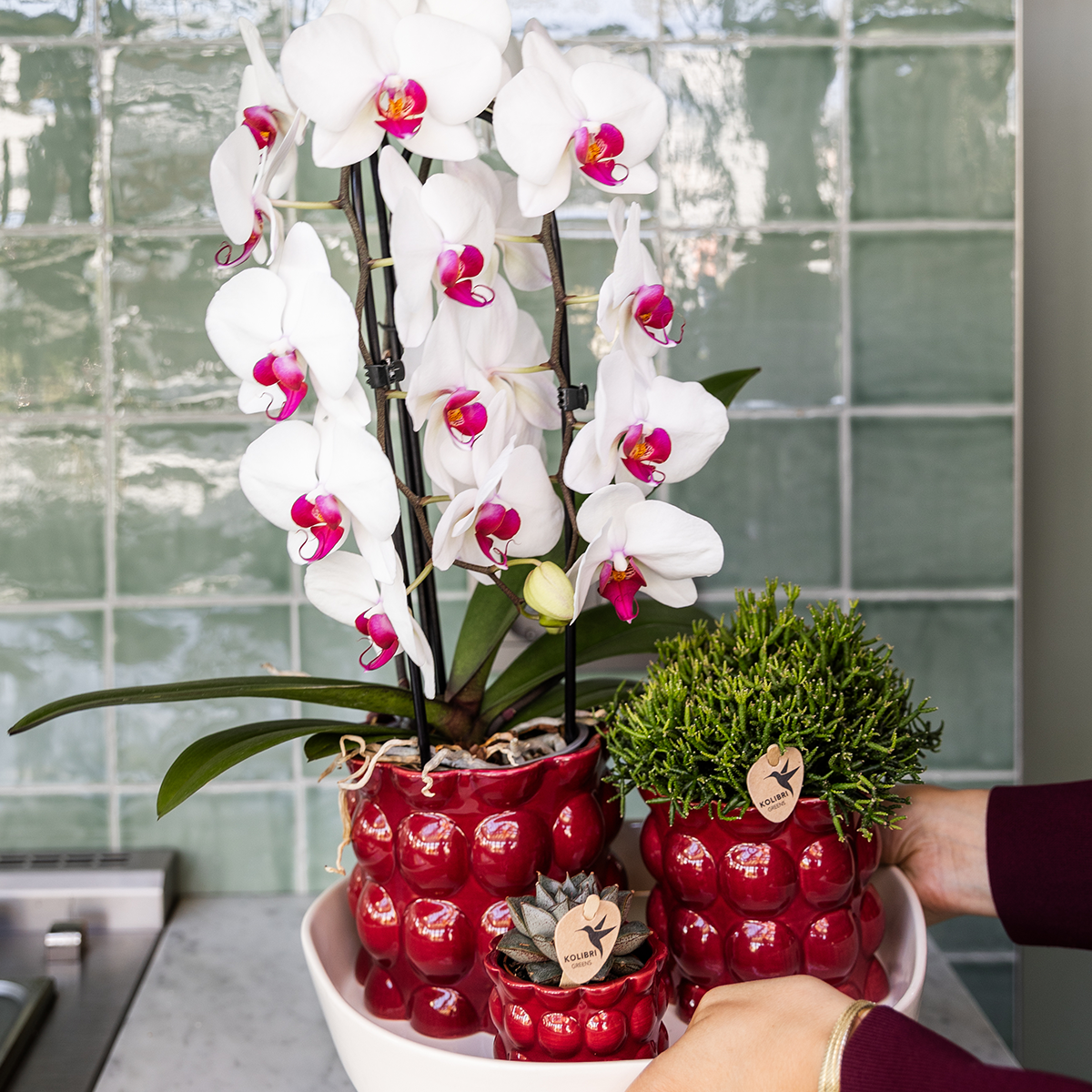 Hummingbird Home | Cotton Shine decorative pot - Red - Ø12cm
