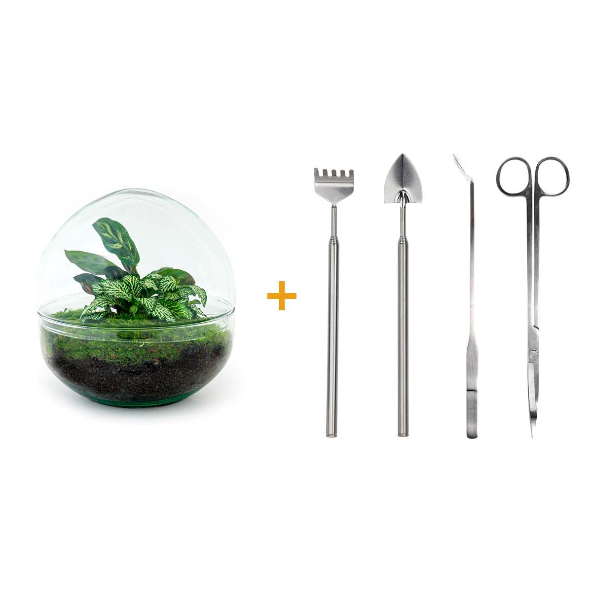 DIY Plant terrarium two-piece glass dome - Ø 20 cm ↑ 20 cm - Rake + Shovel + Tweezer + Scissors