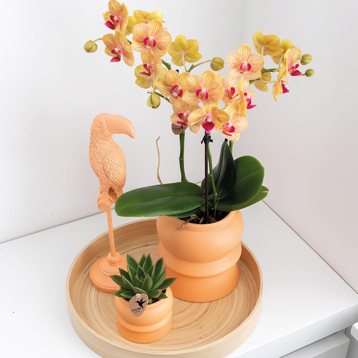 Casa colibrì | Ciotola decorativa - Vassoio rotondo liscio in bambù Ø30cm