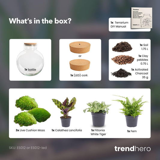 DIY Plant terrarium (with lighting) - Bolder Bob - Ø 31 cm ↑ 30 cm - No tools