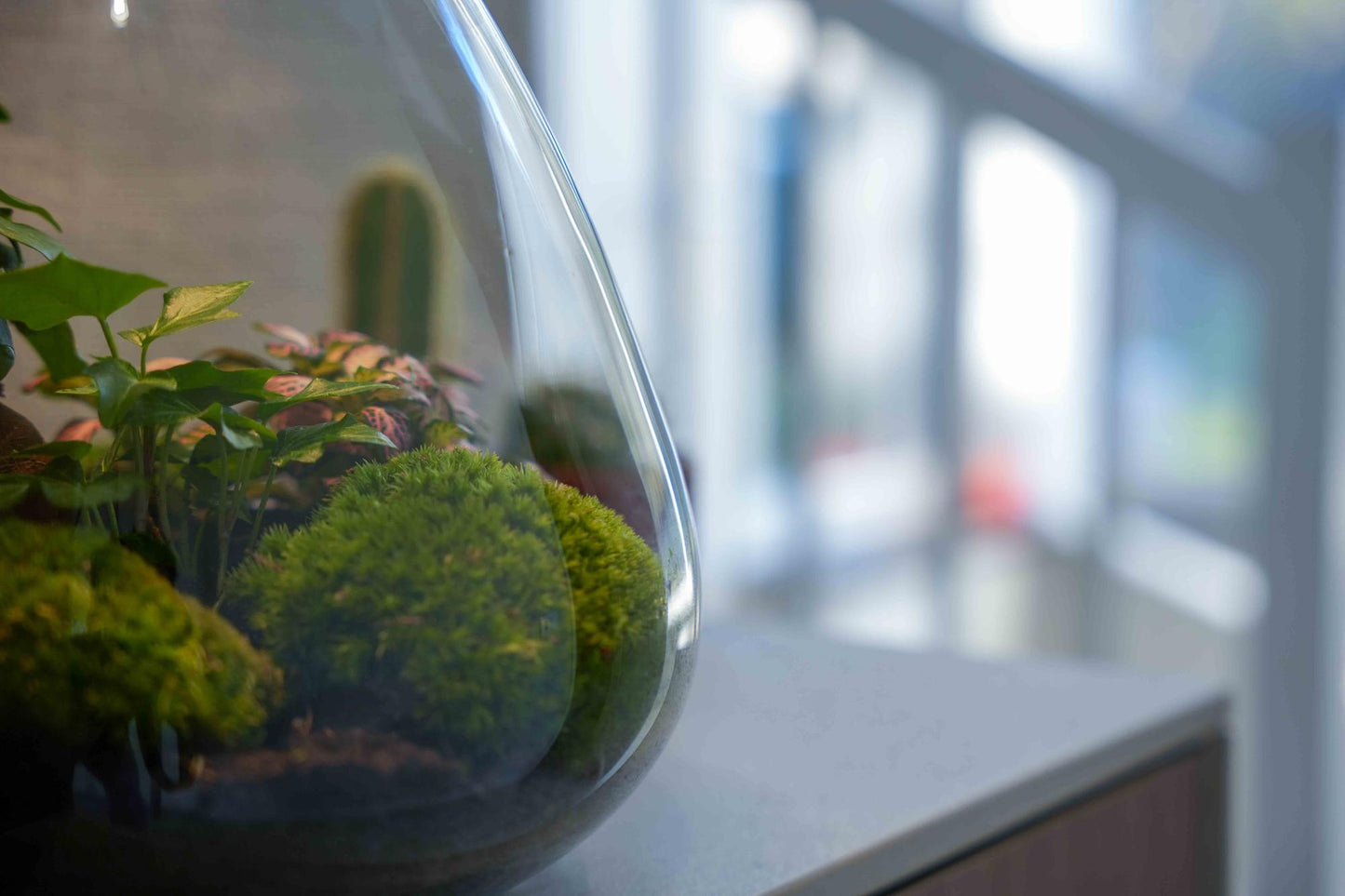 'LOVE MOM' terrarium Sam + gegraveerde kurk met licht - Fles terrarium DIY kit - Ø 24.5 cm ↑ 30 cm - Moederdag