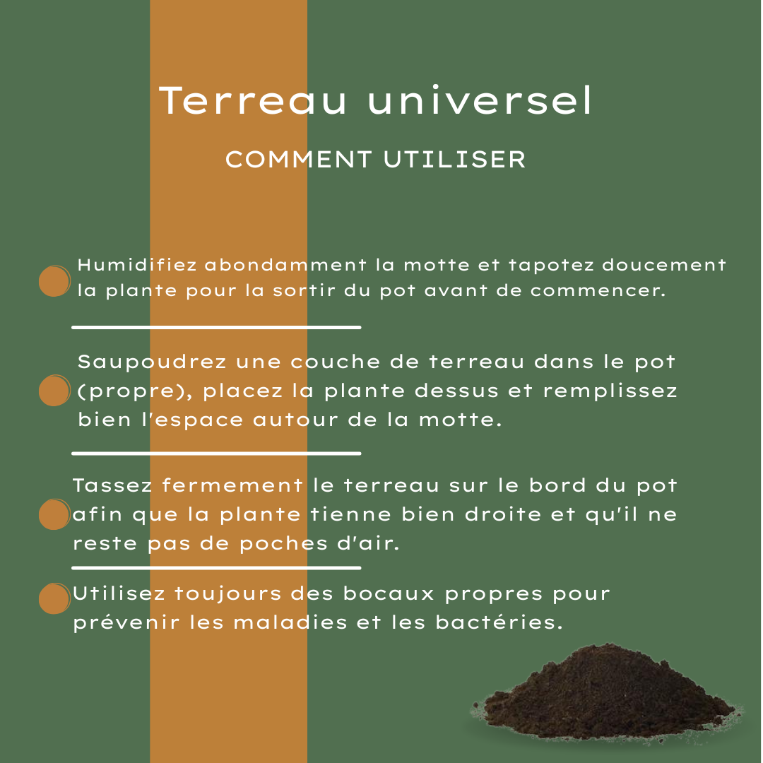 Universal Potting Soil 30 Liters – For Indoor and Outdoor Plants