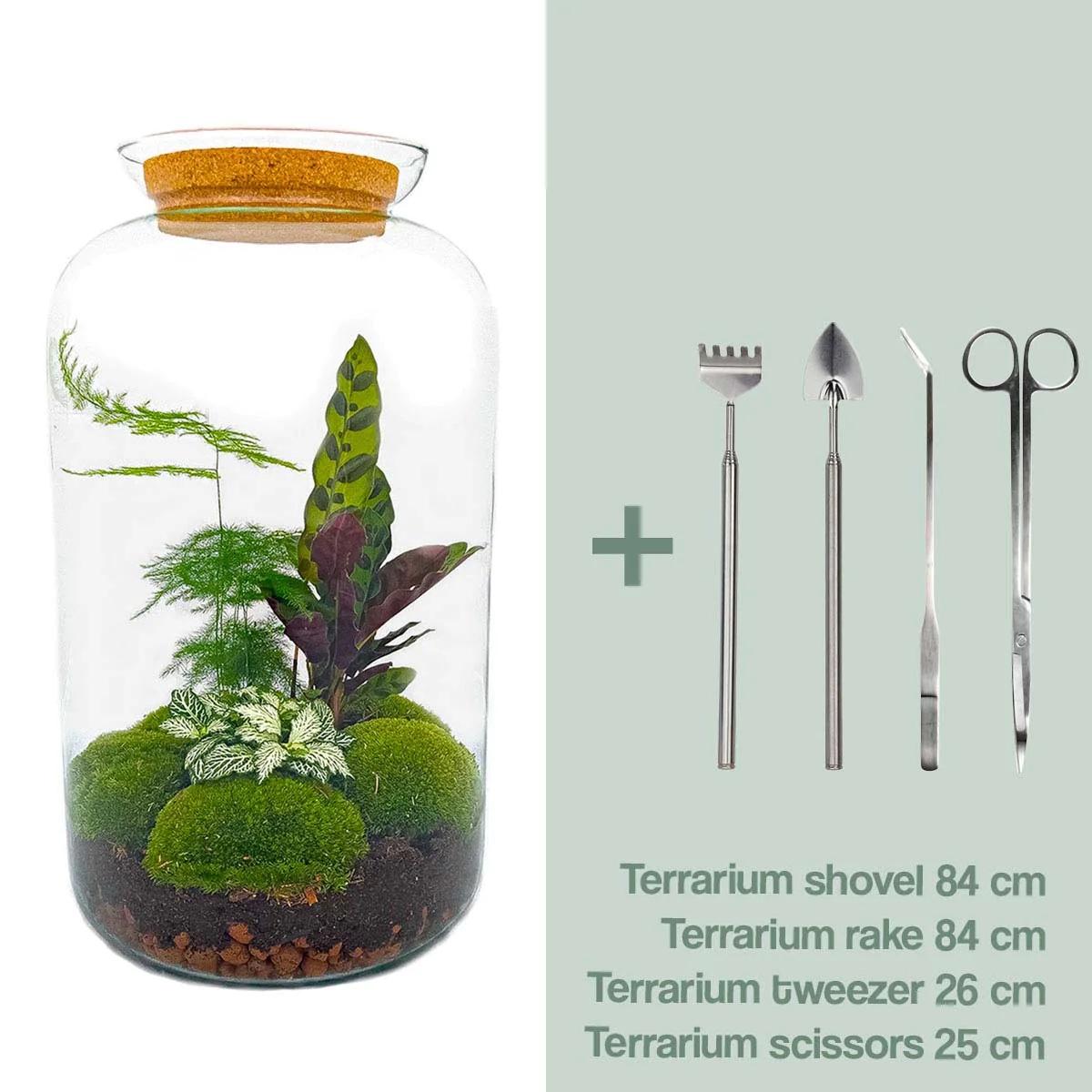 DIY Plant terrarium with light - Sven XL Botanical - Ø 23 cm ↑ 43 cm - Rake + Shovel + Tweezer + Scissors