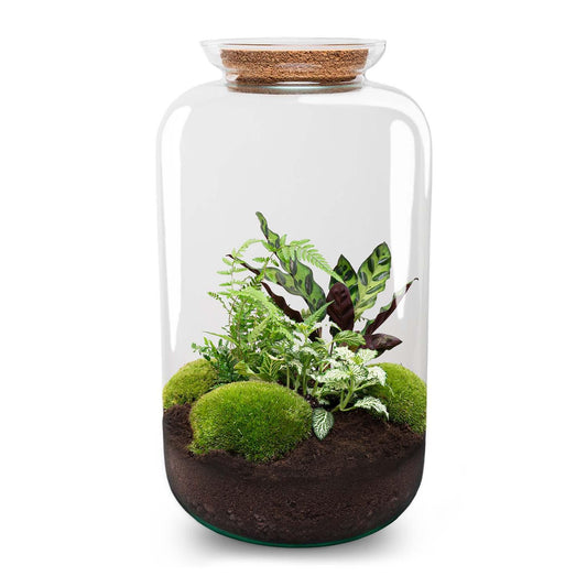 DIY Plant terrarium with light - Sven XL Botanical - Ø 23 cm ↑ 43 cm - No tools