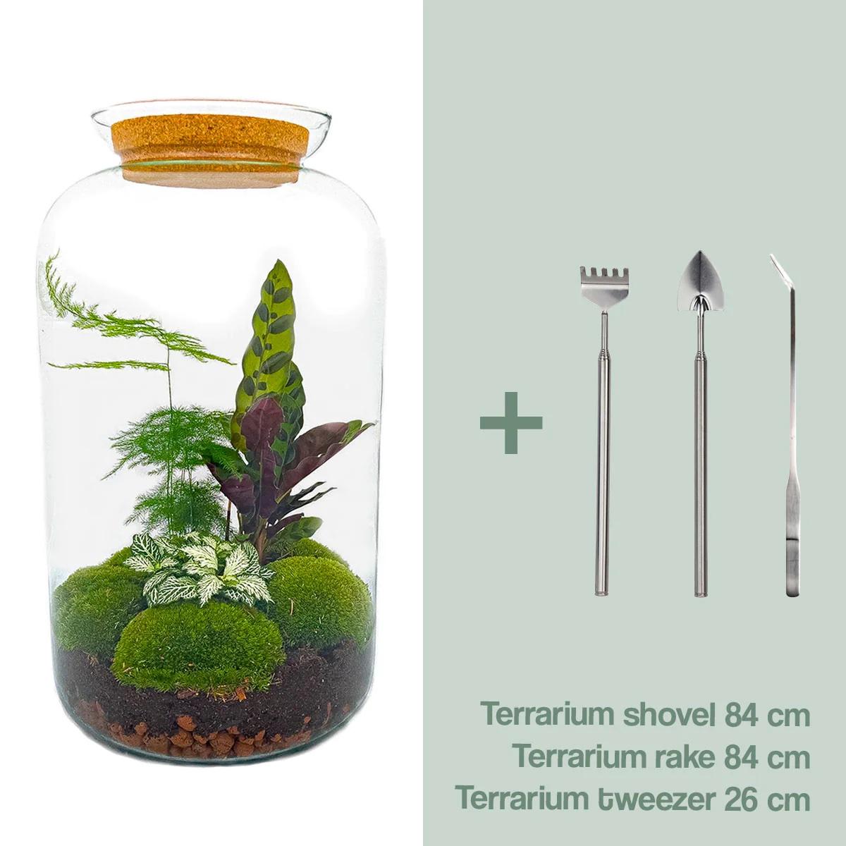 DIY Plant terrarium with light - Sven XL Botanical - Ø 23 cm ↑ 43 cm - Rake + Shovel + Tweezer