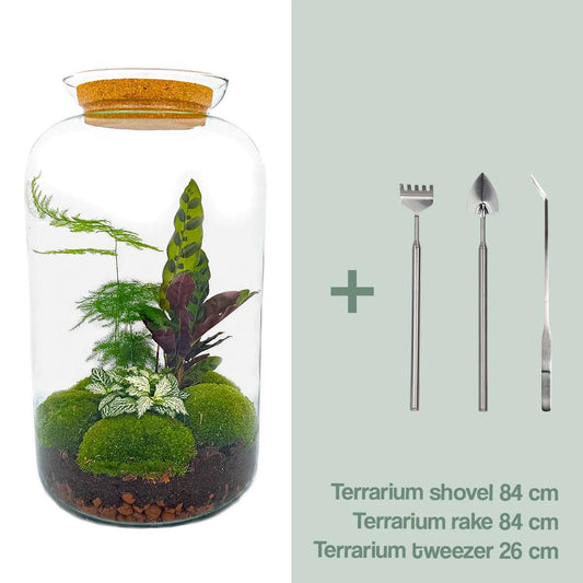 DIY Plant terrarium with light - Sven XL Botanical - Ø 23 cm ↑ 43 cm - Rake + Shovel + Tweezer