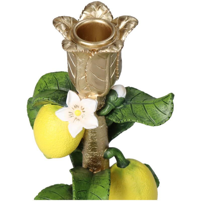 Candlestick with Lemon Plant - ↑ 22 cm