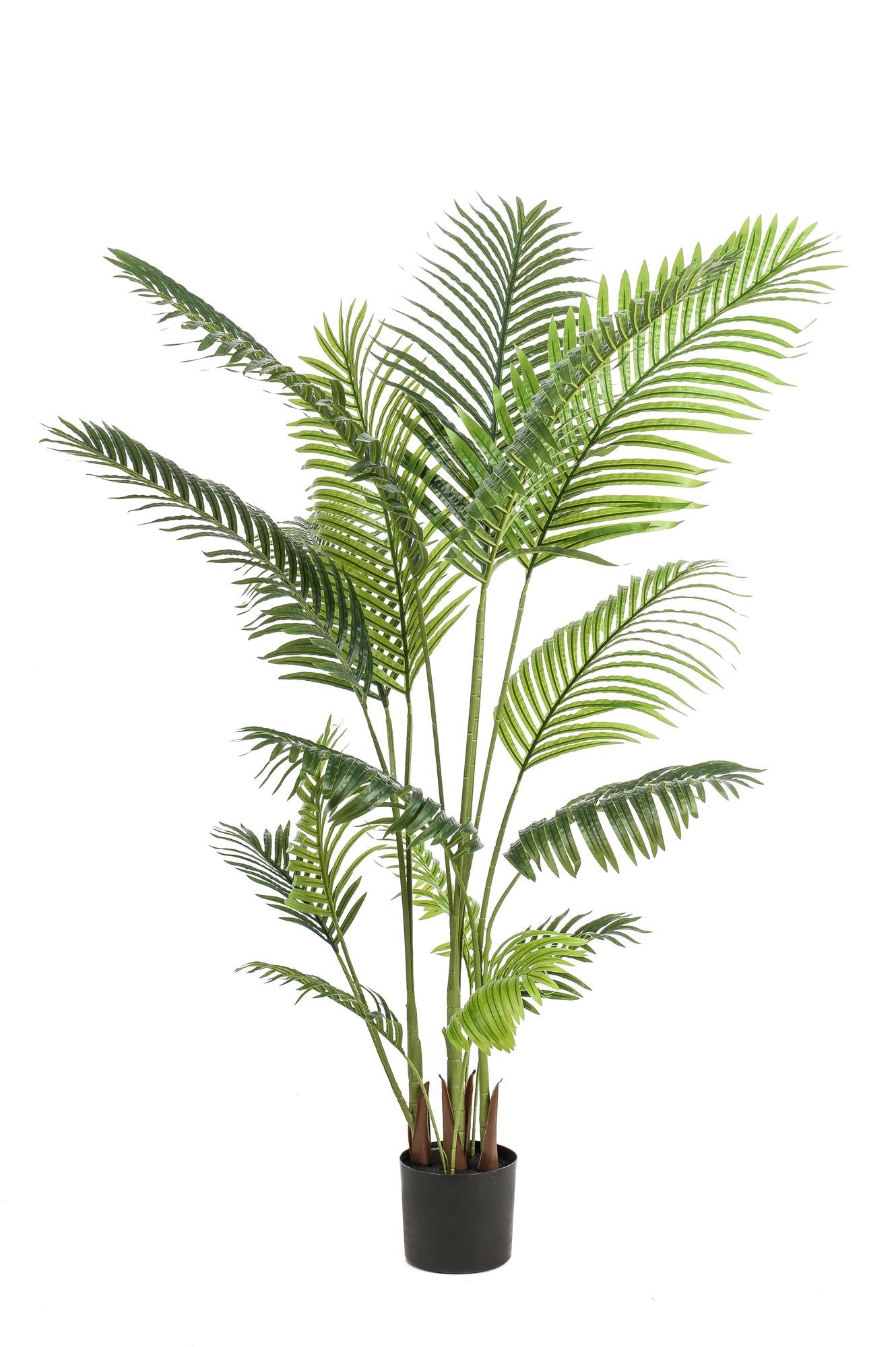 Artificial plant - Howea Forsteriana - 160 cm